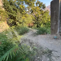 ۲۱۹متر زمین نیکنامده