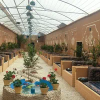 اجرای تخصصی نمای سنتی و کاهگل مدرن|مصالح و تجهیزات ساختمان|یزد, |دیوار