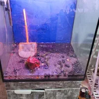 اکواریوم شیشه ریملس