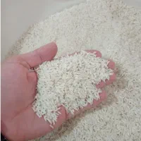 برنج شالیزارهای گیلان|خوردنی و آشامیدنی|کرج, پیشاهنگی|دیوار