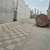 گلخانه|فروش دفتر صنعتی، کشاورزی، تجاری|پاکدشت, پاکدشت (مامازند)|دیوار