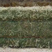 یونجه درجه یک موجود