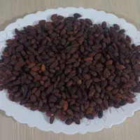 ذغال اخته خشک فروش فوری ۱۱۰|خوردنی و آشامیدنی|الوند, |دیوار