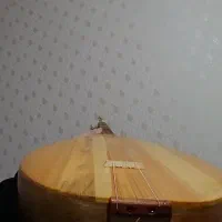 باغلاما قیسا ساپ|سازهای سنتی|تبریز, |دیوار