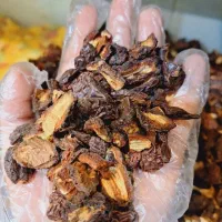 چای خرما