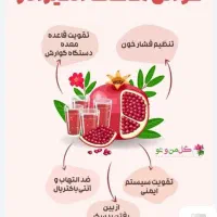 آب آلبالو ‌‌. انار . زرشک|خوردنی و آشامیدنی|تهران, مولوی|دیوار