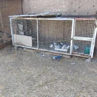 قفس بسیارمحکم