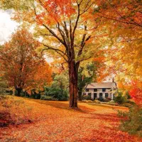 افزایش مخاطب