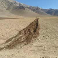 زمین-کشاورزی-دیم