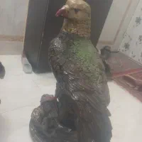 عقاب|مجسمه، تندیس، ماکت|آران و بیدگل, |دیوار