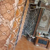 موکت ورساجه خوی|موکت|خوی, |دیوار