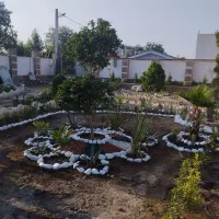 باغبانی ، درختکاری و طراحی فضای سبز|خدمات باغبانی و درختکاری|فومن, |دیوار