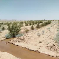 جو درو
