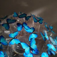 دسته پروانه گل ربانی دیزاین پول