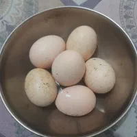 تخم مرغ لاری اصل به شرط