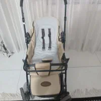 کالسکه|کالسکه و لوازم جانبی|تربت‌حیدریه, ده پائین|دیوار