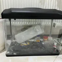 اکواریوم
