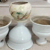 گلدان ها سالم قیمت مناسب