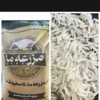 برنج مزرعه ما در تناژ بالا از وارد کننده اصلی