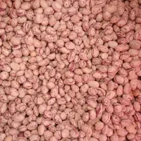 حبوبات درجه یک|عمده‌فروشی|مرودشت, بیست متری بیمارستان|دیوار