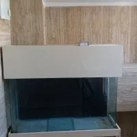 آکواریوم خارجی