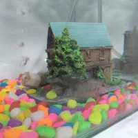 اکواریوم همراه باماهی|ماهی|ابهر, |دیوار