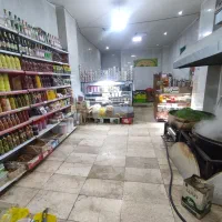 سبزی خرد شده ،سرغ شده شمالی، تهرانی|خوردنی و آشامیدنی|تهران, تهرانسر غربی|دیوار