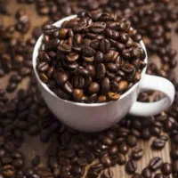 استخدام فوری نیروی خانم