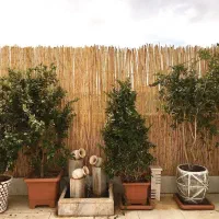 فروش اپارتمان لاکچری/۱۱۶ متر/سند تک برگ/مدرس