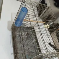 قفس|لوازم جانبی حیوانات|اهواز, حصیرآباد|دیوار