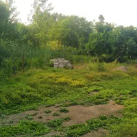 799مترویلادوبلکس نوسازروستایی به همراه سوئیت مجزا|فروش زمین و ملک کلنگی|رضوانشهر, |دیوار