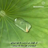 پول