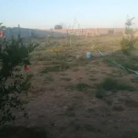 زمین-برا-فروش