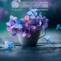 جواهرات
