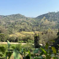 زمین مسکونی|فروش زمین و ملک کلنگی|املش, |دیوار