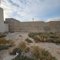 زمین مسکونی پهلوان کشی|فروش زمین و ملک کلنگی|بوشهر, |دیوار