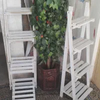 وسایل منزل|گل و گیاه طبیعی|جهرم, |دیوار