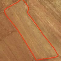 زمین کشاورزی