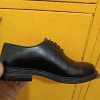 مجلسی سایز ۳۷