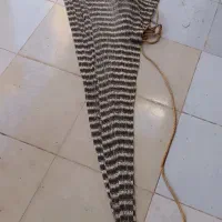 تور ماهیگیری 20متری|ماهیگیری|مسجد سلیمان, |دیوار