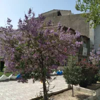 شرکت نظافت رنگارنگ
