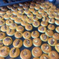 سوغات کرمانشاه نان برنجی نان خرمایی کاک شکری کنجدی|خوردنی و آشامیدنی|تهران, آرژانتین|دیوار