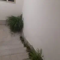 گل طبیعی|گل و گیاه طبیعی|شهرکرد, |دیوار