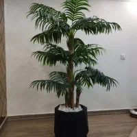 درخت مصنوعی کنتیا برگ لمسی