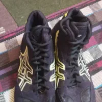 کفش کشتی