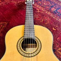 گیتار دستساز برند Goodman با صدای گرم و طبیعی