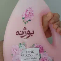 تعدادی مایع دستشویی بوژنه 2لتری