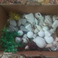 انواع سنگ اکواریوم