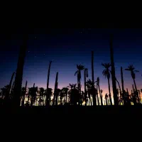 آموزش عکاسی دیجیتال به صورت VIP از پایه تا تسلط|خدمات آموزشی|جهرم, |دیوار