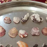 سنگ و صدف دریایی|کلکسیون اشیاء عتیقه|بندر ماهشهر, |دیوار